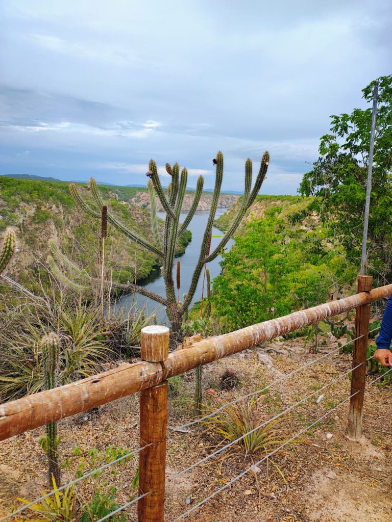 Trilha Mirante do Santinho